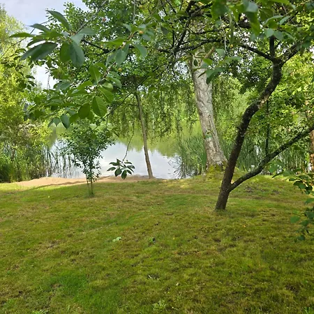 Rokitnik *
