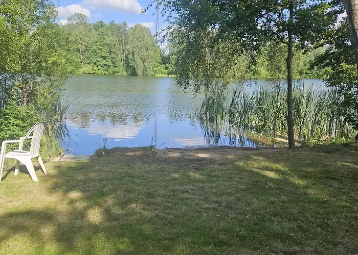 Rokitnik