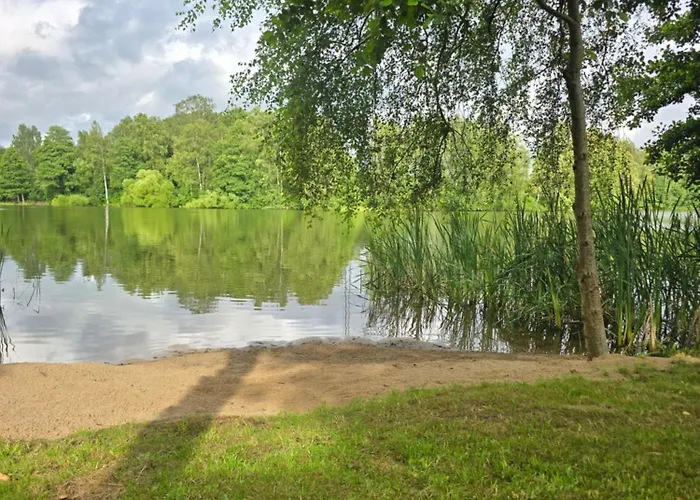 Rokitnik * Rokity (Pomerania)